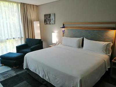 Holiday Inn Express Mexico Reforma by IHG - 50