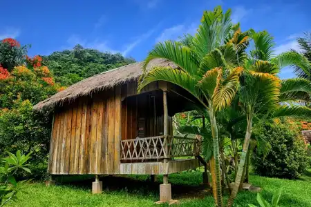 Q Bungalows - 77