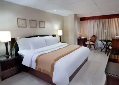 Centro Plaza Hodelpa - 11