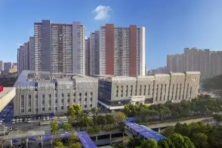 Vienna International Shenzhen North Station Branch - 11