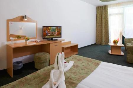 Mena Palace - All Inclusive - 42