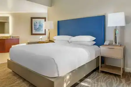 Hilton Grand Vacations Club SeaWorld® - 50