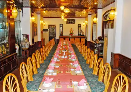 Areca - 16