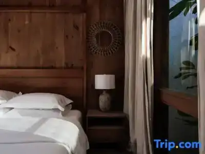 Oasis The Secret Luxury - 16