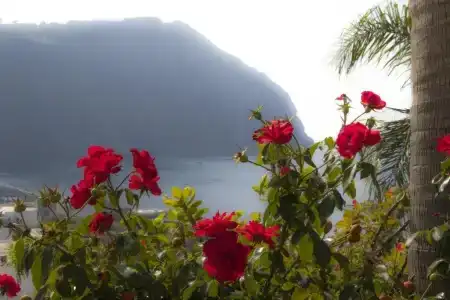 Capizzo - 10