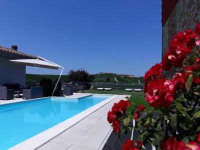 Red Wine Camere - 7