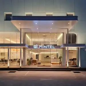 Mintel Huamark - 0