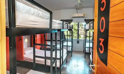 Mad Monkey Chiang Mai - Hostel - 56