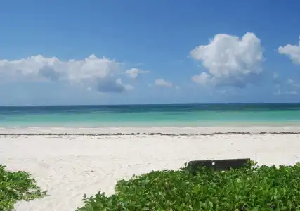 Sahari Zanzibar - 13