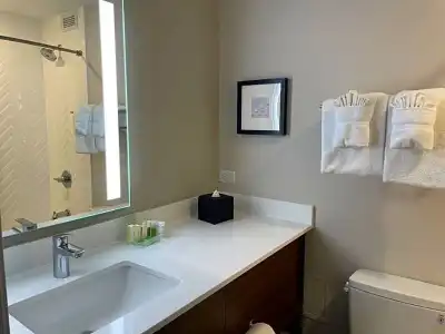 Holiday Inn & Suites Chicago - Downtown by IHG - 57