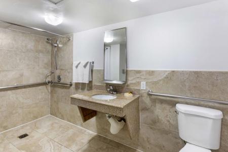 Best Western Plus El Paso Airport & Conference Center - 55