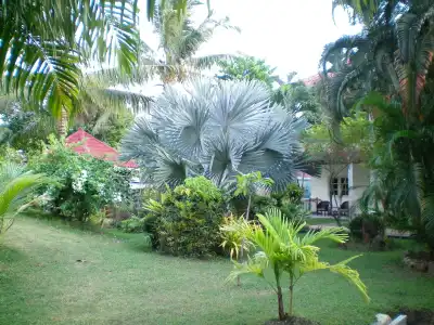Patong Palace - 17