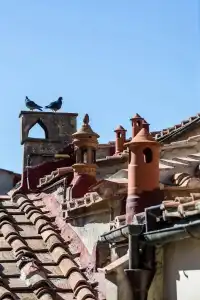 Oltrarno Splendid - 11