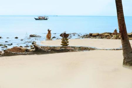 Golden Bungalows - 7