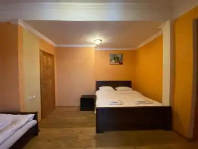 ArtVilla Bakuriani - 64