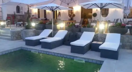 Dolphin Suites - 14