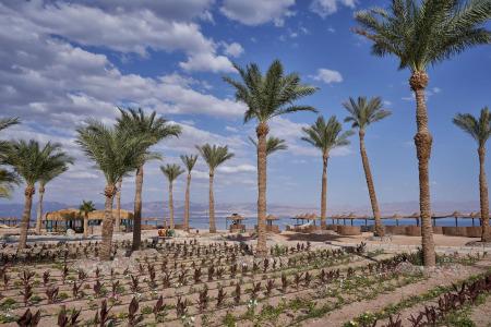 The Bayview Taba Heights Resort - 24