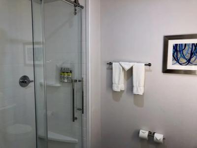 Holiday Inn Express & Suites HOUSTON WESTCHASE - WESTHEIMER by IHG - 72