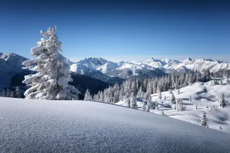 TUI BLUE Montafon - 42
