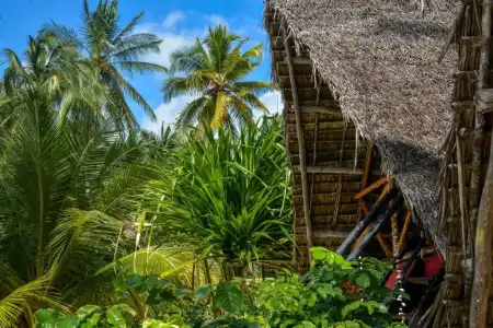 Evergreen Bungalows - 74