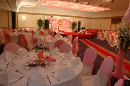 Golden Tulip - 28