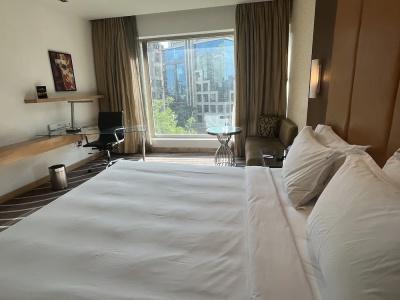 Holiday Inn Mumbai International Airport by IHG - 107