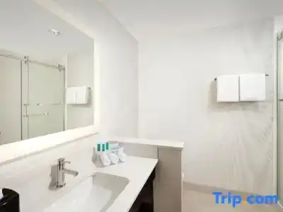 Holiday Inn Express & Suites New Braunfels by IHG - 46