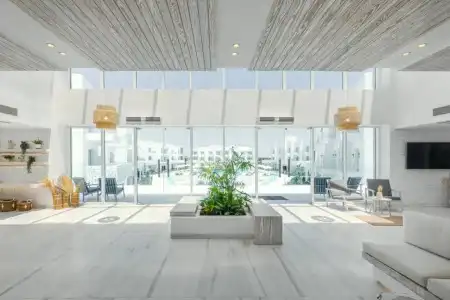 Tanoak - 3