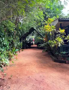 Green House - 41