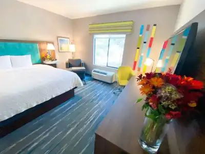Hampton Inn Carlsbad-North San Diego County - 52
