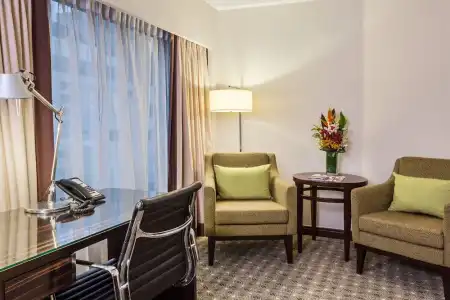 Holiday Inn Singapore Orchard City Centre by IHG - 52