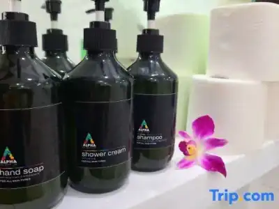 Alpha Resort & Spa - 90