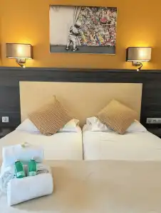 Hôtel le Collier - 63