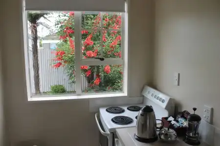 Alpine Rose Greymouth Motel - 6