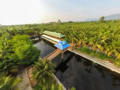Coconut Resort - 12