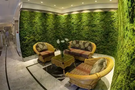 Bull Costa Canaria & Spa - Adults only - 17