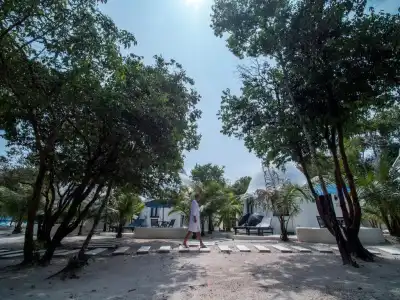 Moonlight Resort - 77