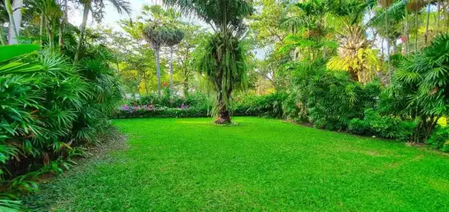 Casuarina Shores - 83