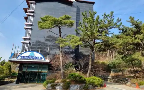 Seaworld - 25