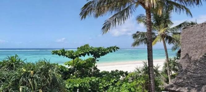 Zoi Retreat Zanzibar - 77