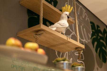 Holiday Inn - the niu, Crusoe Bremen Airport by IHG - 32