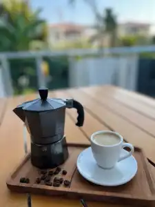 Lupa Alacati - 93