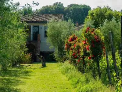 Resort La Ghiaia - Guest House - 35