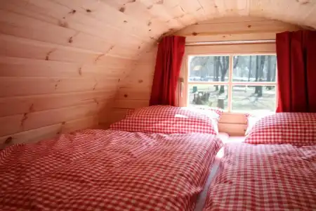 Azur Waldcamping Auwaldsee - 35