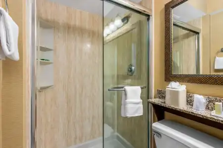 Holiday Inn & Suites Clearwater Beach by IHG - 12