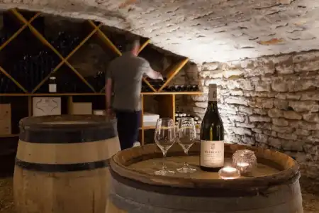 Alfreds Beaune La Madeleine - 19