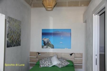La Luna e il Gatto - 22