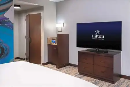 Hilton Americas - - 40