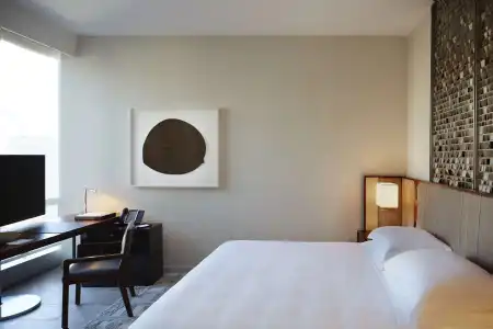 Park Hyatt New York - 4