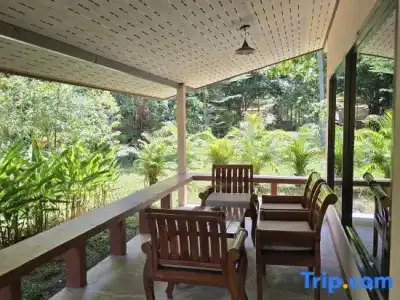 The Last Paradise - 59